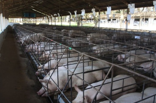 酸霧廢氣處理設備的特點