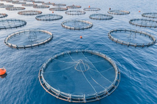 焦化廠除塵設(shè)備